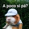 eduardosanchez2325