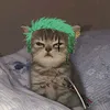 crazyboymadefucker
