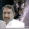 mainasif333