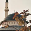 fatima.f111