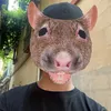 whereisjoez
