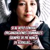 gatita_oficial17