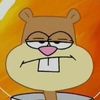 sandy.cheeks.1111