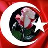 felixahmet