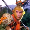 monkeyking653