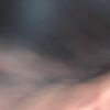nml294