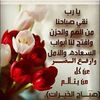 user87736106