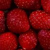 catrawberries