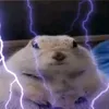 mkjjhg1
