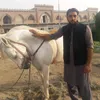 rashidali54000
