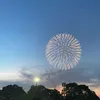 saaaaa__330