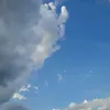 me_nomono