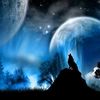 whitewolf01020