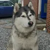 ravoyy