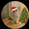 christmas_cat34