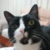 elrioos02