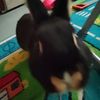 iditenahyz_54