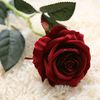 amiraimran30