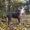 princessnalathexl