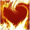 farid1_