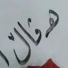 haval19991