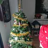 enrico_fifo