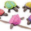 stretchyturtle