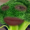 broccoliheadchronicles