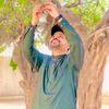 aliabbas213552