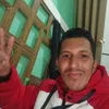 pulganogueirazl