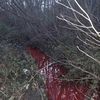 bloodloved