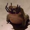frog_girl_randomnumbers