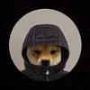 hybrixz_