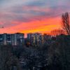 maksim_11_v