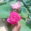 user05483479