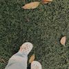 cxxamel._