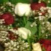 user1920471380108