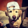 nhinha_12