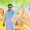 arslanfoji1