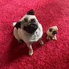 jenbax_86