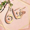 hanan9857