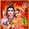 Gita bhatta