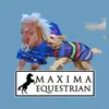 maximaequestrianltd