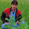 taufailwazir