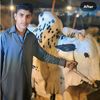 tayyab292