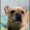 patriciacorrea29510