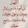 user7981365751698