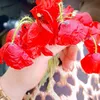 al_khatoon13