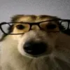 curseye