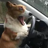 guisssz